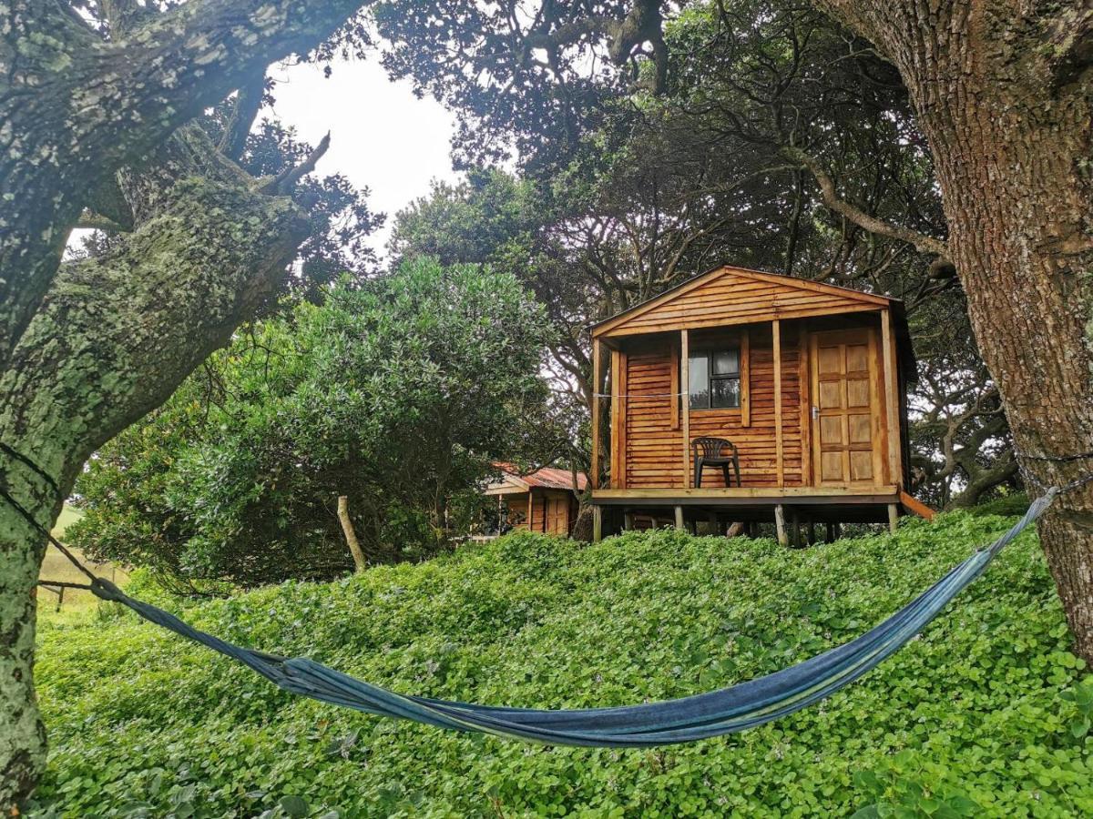 Bulungula Xhosa Community Lodge Værelse billede