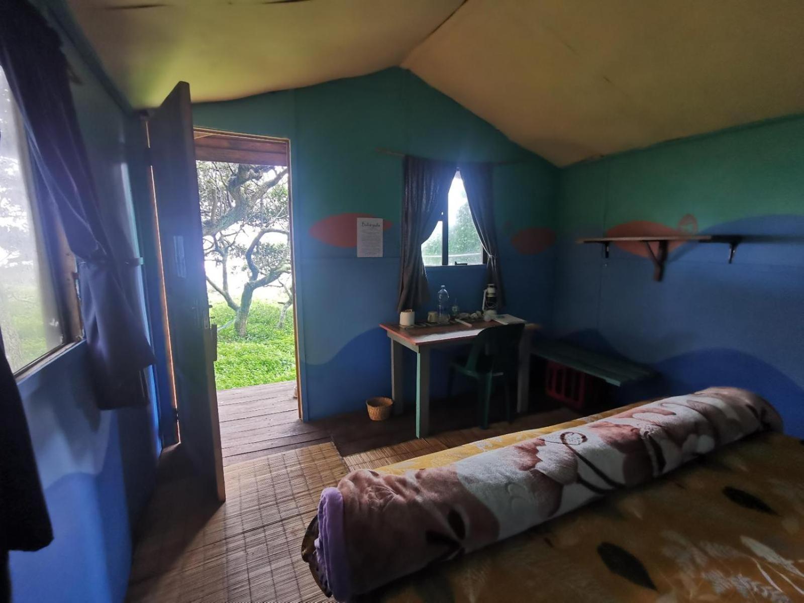Bulungula Xhosa Community Lodge Værelse billede